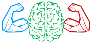 Brain Flex